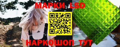 стафф Дубна