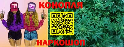 стафф Дубна