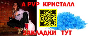 стафф Дубна