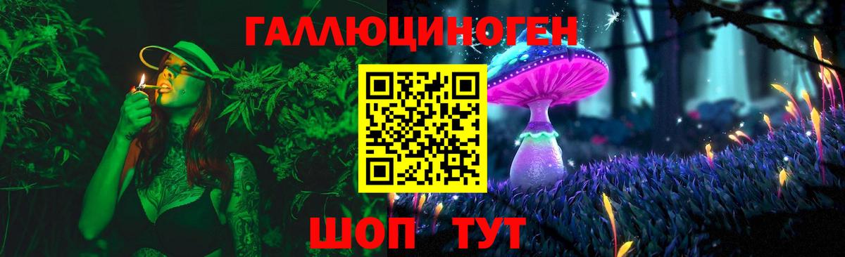 Мирный  Псилоцибиновые грибы Psilocybine cubensis  Вход с VPN 