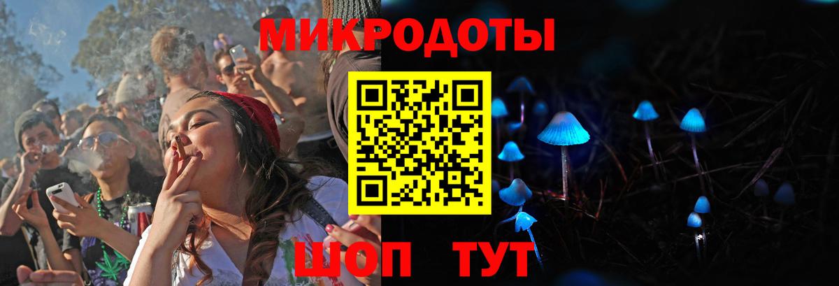 Галлюциногенные грибы Psilocybe Мирный